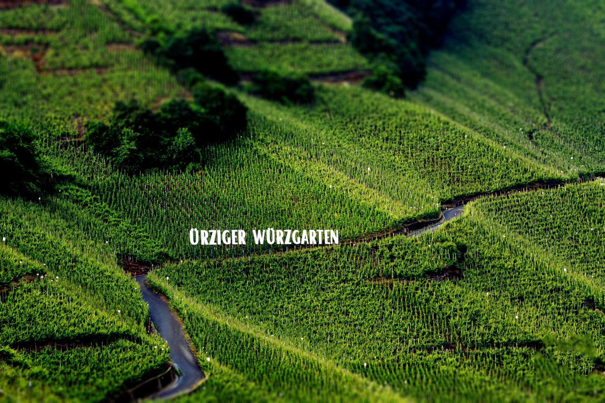 Apartment Weingut Dr Hermann I Erden Luaran gambar